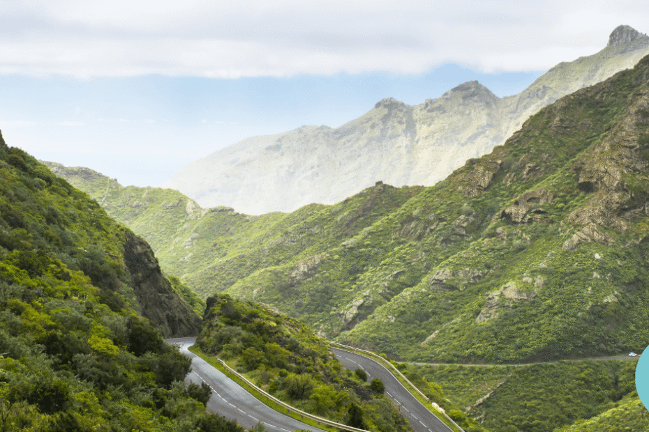 Marketing digital en Tenerife